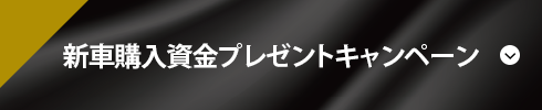 レイバック試乗フェア