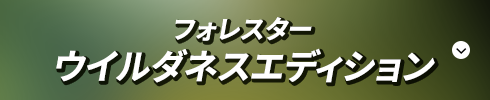 フォレスター ウイルダネスエディション