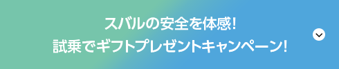 スバルの安全を体感！ 試乗でギフトプレゼントキャンペーン！