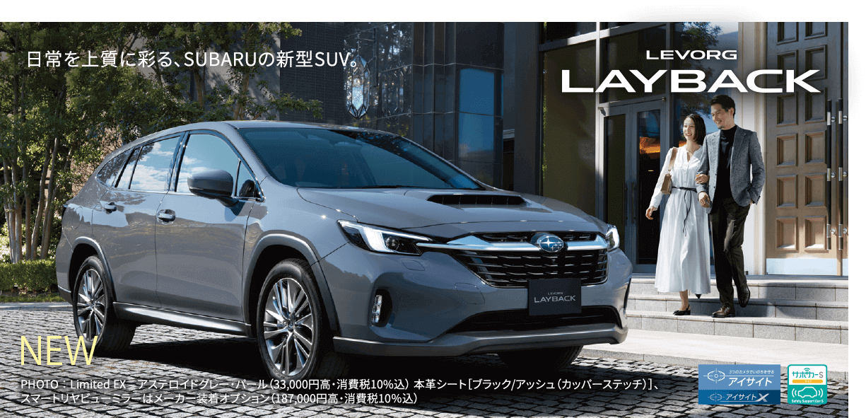 LEVORG LAYBACK