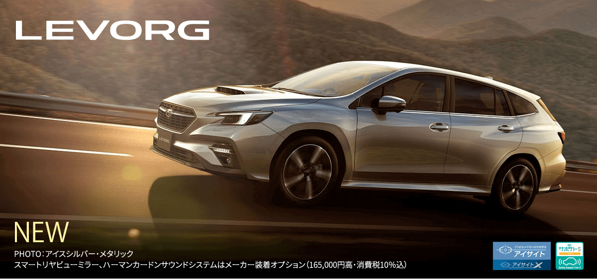 LEVORG