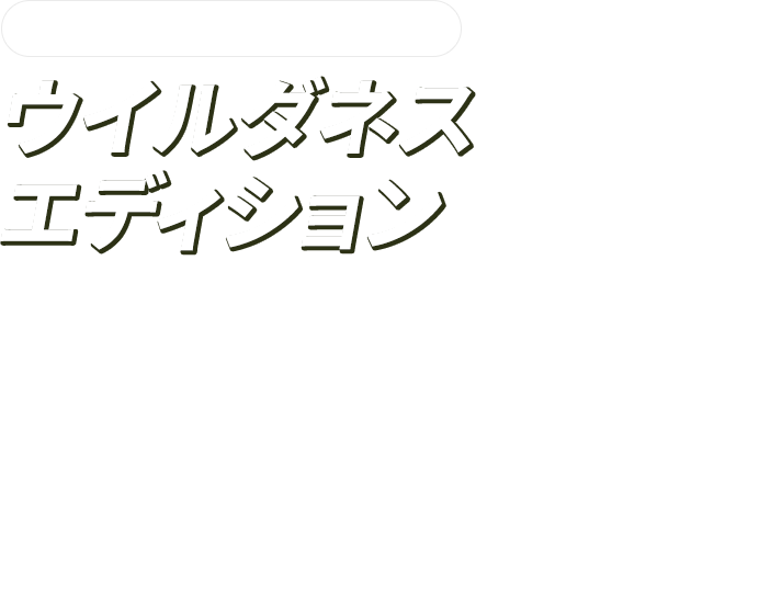 東海地区スバルグループ特別企画！ウイルダネスエディションフォレスターのTouringグレード・X-BREAKグレードに「北米ウイルダネス仕様ホイール」を特別装着した東海地区スバルグループ企画　特別仕様車”ウイルダネスエディション”が登場！期間中、ご成約時にお好きなSTYLE3種類からお選びいただけます。PHOTO：フォレスター X-BREAK ウイルダネス仕様ホイール装着　マグネタイトグレー・メタリックドライバーモニタリングシステム・アイサイトセイフティプラス（運転支援・視界拡張）はメーカー装着オプション（154,000円・消費税10%込）