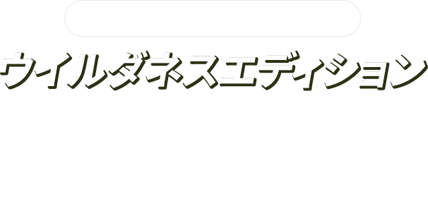 東海地区スバルグループ特別企画！ウイルダネスエディションフォレスターのTouringグレード・X-BREAKグレードに「北米ウイルダネス仕様ホイール」を特別装着した東海地区スバルグループ企画　特別仕様車”ウイルダネスエディション”が登場！期間中、ご成約時にお好きなSTYLE3種類からお選びいただけます。
