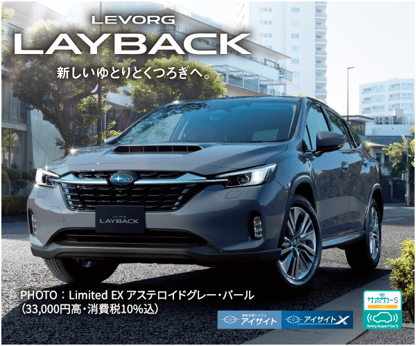 LEVORG LAYBACK