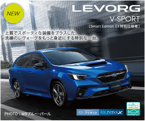 LEVORG