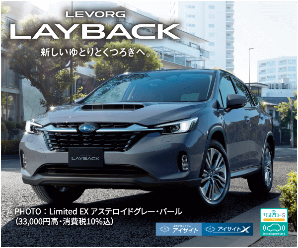 LEVORG LAYBACK