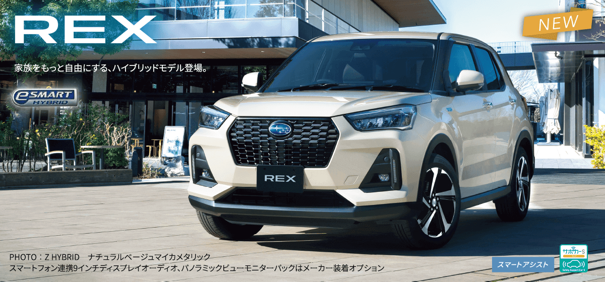 LEVORG LAYBACK Black Selection