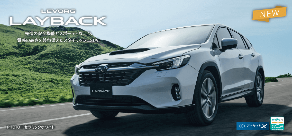LEVORG LAYBACK