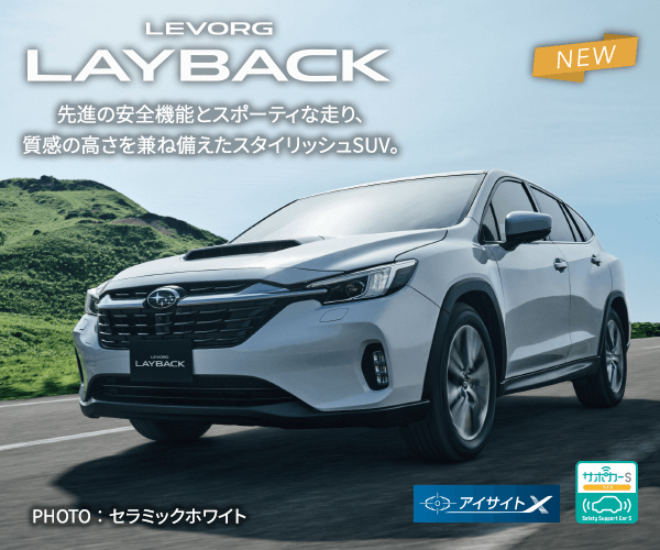 LEVORG LAYBACK